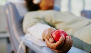 Portal: BrazilHealth - 13/03/2026