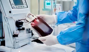 Portal: Medicina SA - 22/06/2026